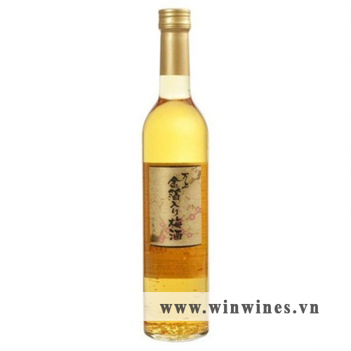 Choya Vảy Vàng