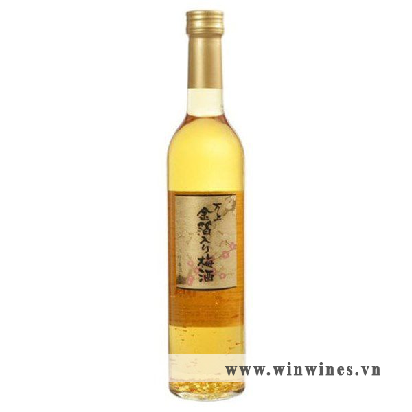Choya Vảy Vàng