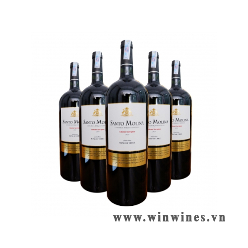 RƯỢU VANG SANTO MOLINA CABERNET SAUVIGNON0 1.5L