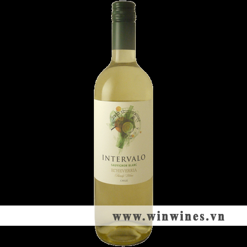 INTERVALO SAUVIGNON BLANC